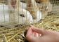 رول مش سیم جوش داده شده مورد استفاده در پرورش حیوانات