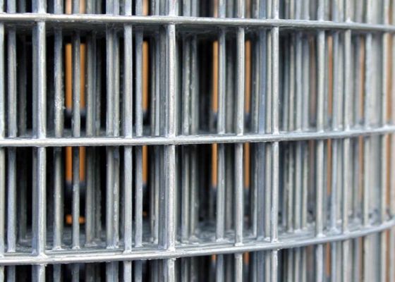 رول مش سیم جوشی گالوانیزه 50X50 رول حصار سیم 6 فوت ضد سایش