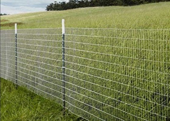 مش سیم جوش داده شده از جنس استنلس استیل برای کاربردهای کشاورزی