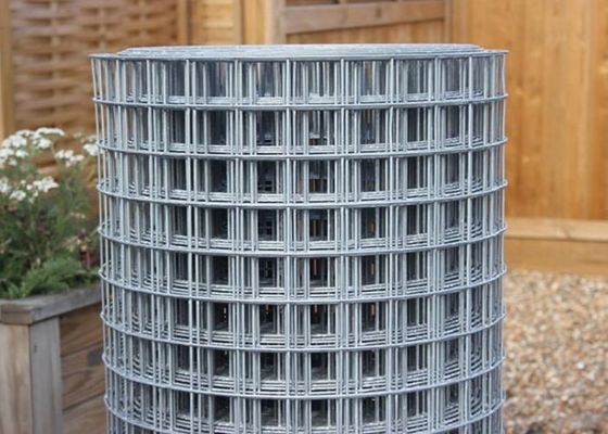رول مش سیم جوشی گالوانیزه 50X50 رول حصار سیم 6 فوت ضد سایش